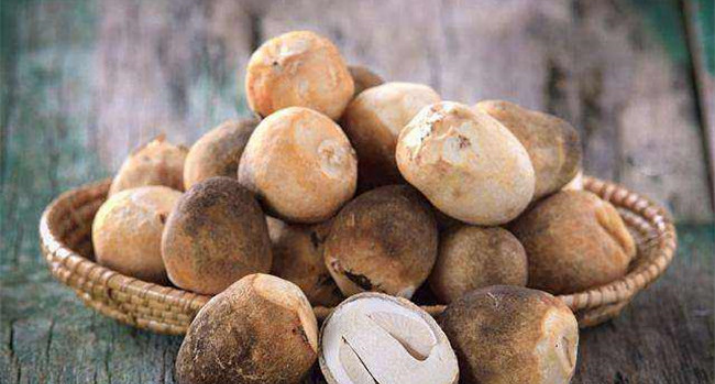 香菇种植方法全过程，香菇地栽生产需注意什么？